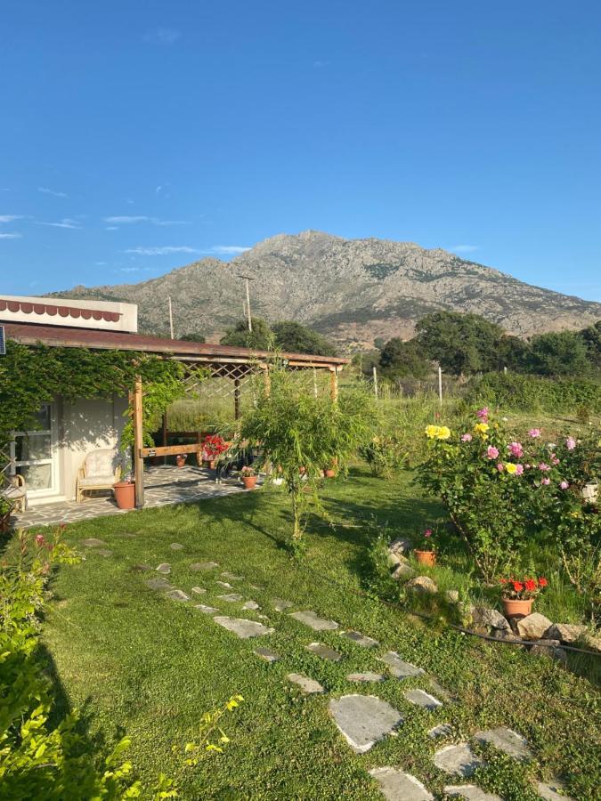 Samothraki - Sea, Mountain, Quiet Villa Luaran gambar